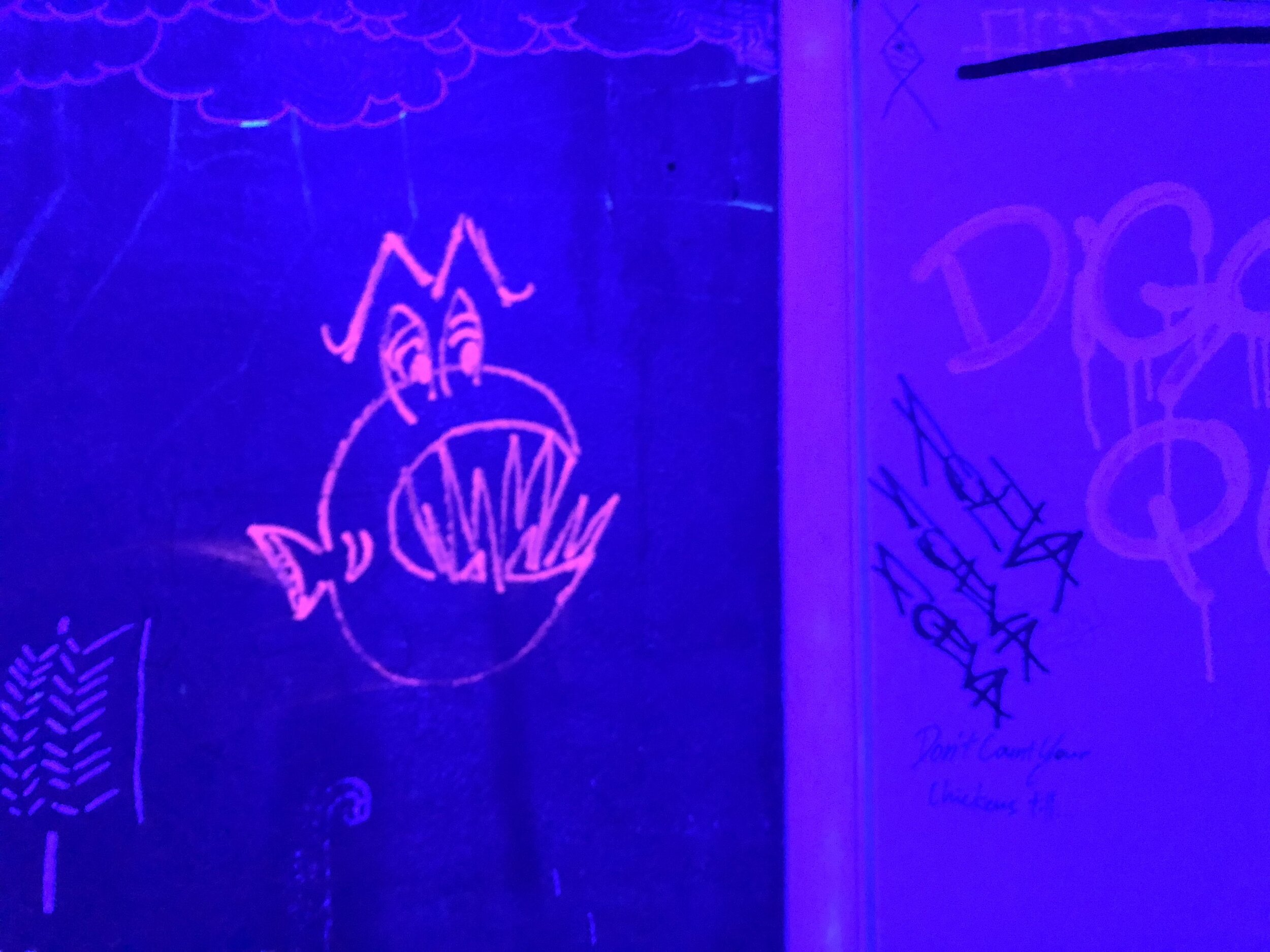 The pink piranha drawing glowing on the bathroom wall